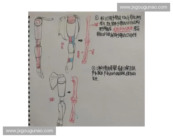 肌肉激活在运动表现提升中的关键作用与训练策略探析